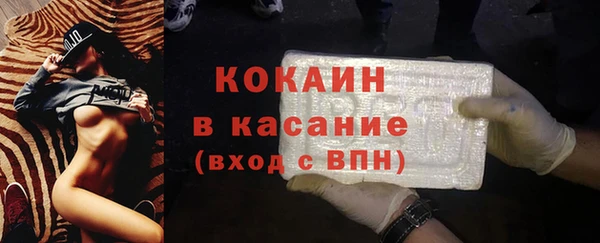 мдпв Богородицк