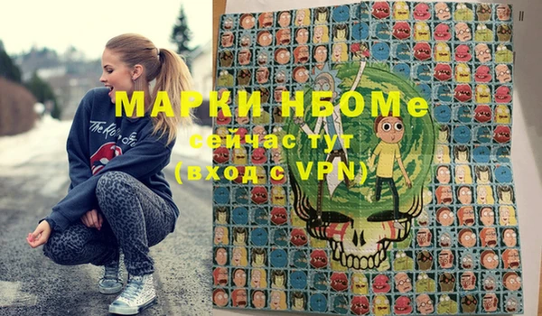 мдпв Богородицк