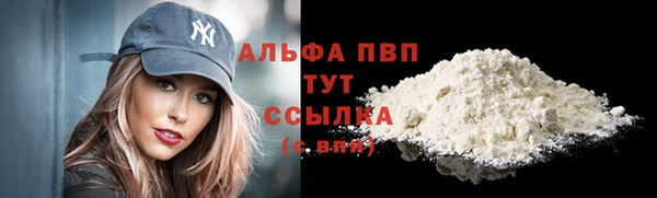 спиды Богданович