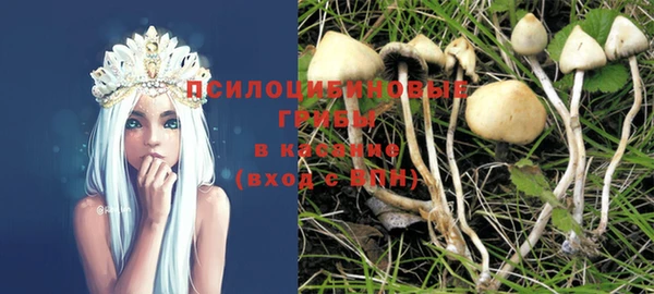 дмт Рославль