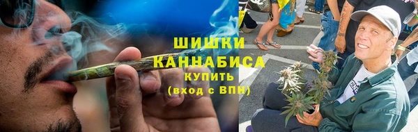 мдпв Богородицк