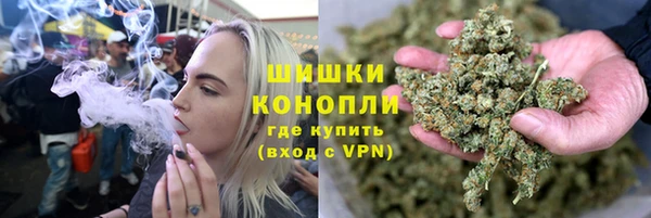 дмт Рославль